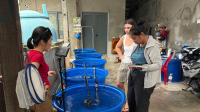Nghiên cứu bước đầu về hành vi cá chim vây vàng giống giữa Đại học Nha Trang và Đại học Macquarie