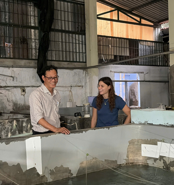 Nghiên cứu bước đầu về hành vi cá chim vây vàng giống giữa Đại học Nha Trang và Đại học Macquarie