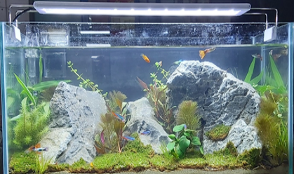 Tác phẩm đoạt giải ba của lớp 61NTTS -2: Siêu tiết kiệm