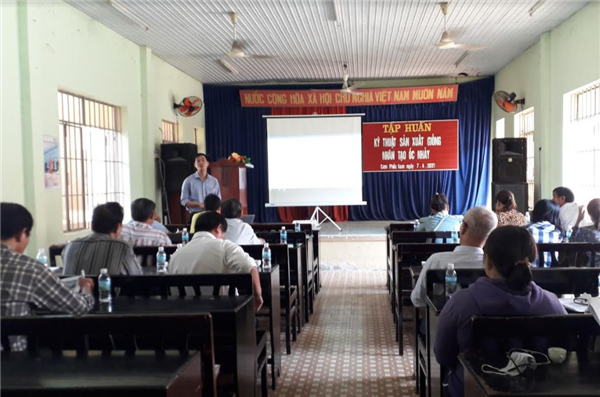 Viện Nuôi trồng Thủy sản tổ chức tập huấn Kỹ thuật sản xuất giống ốc nhảy tại Thành phố Cam Ranh