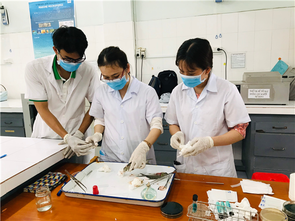 Khai mạc khóa tập huấn “Chẩn đoán bệnh trên cá biển"