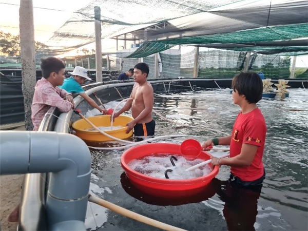 Tăng cường công tác phục vụ cộng đồng, hỗ trợ doanh nghiệp nuôi tôm trong quản lý chất lượng môi trường nước ao nuôi thủy sản