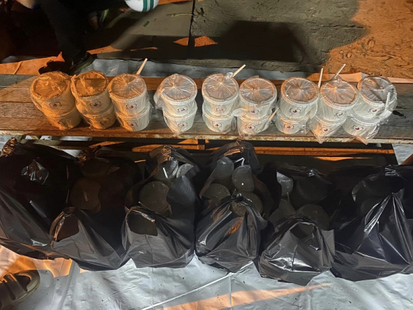 Đoàn Thanh niên – Đội Sinh viên tình nguyện Viện Nuôi trồng Thủy sản tổ chức nhiều hoạt động hưởng ứng Tháng Thanh niên năm 2023