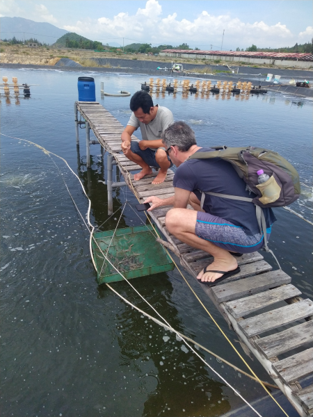 Viện Nuôi trồng Thủy sản, ĐH Nha Trang tổ chức Chương trình tham quan học tập nuôi tôm hùm và cá biển