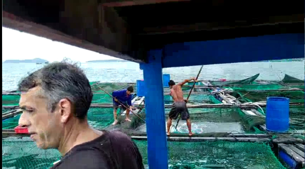 Viện Nuôi trồng Thủy sản, ĐH Nha Trang tổ chức Chương trình tham quan học tập nuôi tôm hùm và cá biển