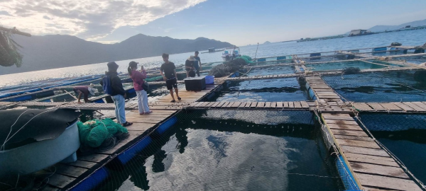 Viện Nuôi trồng Thủy sản tiếp nhận các sinh viên từ Đại học Chieng Mai-Thái Lan đến thực tập tốt nghiệp