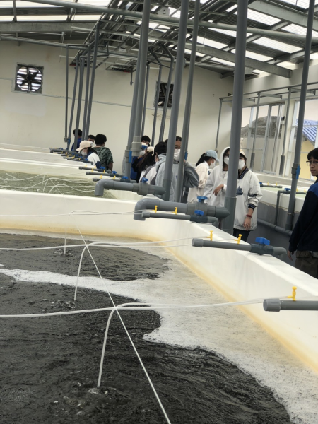 Sinh viên khóa 65 ngành Nuôi trồng thủy sản tham quan thực tế tại công ty TNHH  Khoa Kỹ sinh vật Thăng Long