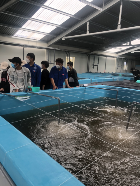 Chương Trình Thiện Nguyện Xuân 2024