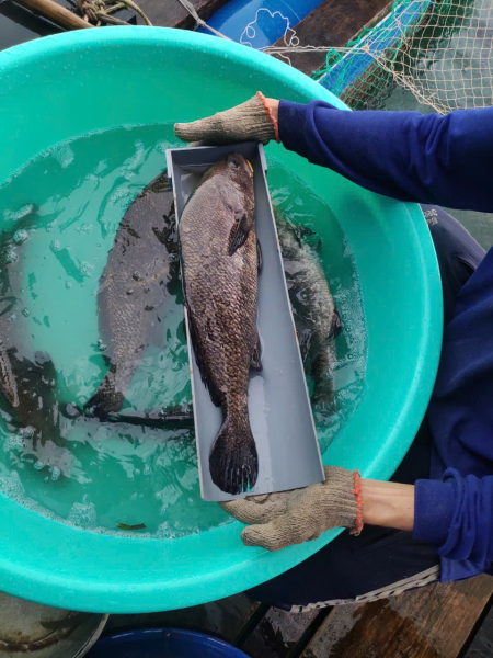 Nghiệm thu cấp cơ sở đề tài KH&CN cấp tỉnh Khánh Hòa