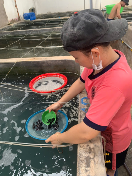 Nghiệm thu cấp cơ sở đề tài KH&CN cấp tỉnh Khánh Hòa