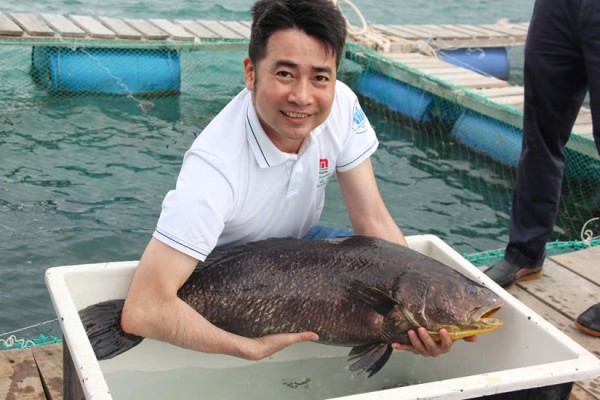 Nghiệm thu cấp cơ sở đề tài KH&CN cấp tỉnh Khánh Hòa