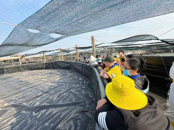 Tham quan Farm Nuôi tôm của Công Ty TNHH Nuôi trồng Thủy sản Minh Phú - Lộc An: Trải nghiệm thực tế hữu ích cho sinh viên lớp 65.NTTS-MP