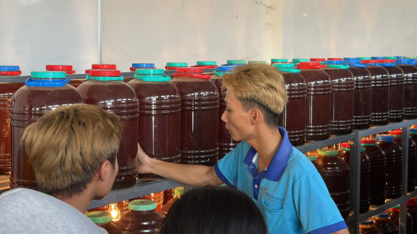 Tham quan Farm Nuôi tôm của Công Ty TNHH Nuôi trồng Thủy sản Minh Phú - Lộc An: Trải nghiệm thực tế hữu ích cho sinh viên lớp 65.NTTS-MP