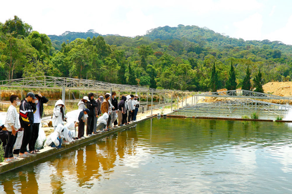 Sinh viên hai lớp 65.NTTS-KS và 65.NTTS-CN đi thực tế nghề nghiệp tại các trang trại sản xuất giống và nuôi cá nước lạnh tại Lâm Đồng