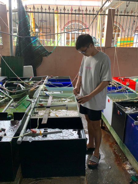 Viện Nuôi trồng Thủy sản tổ chức nghiệm thu 04 đề tài Nghiên cứu Khoa học của sinh viên trong tháng 4/2025