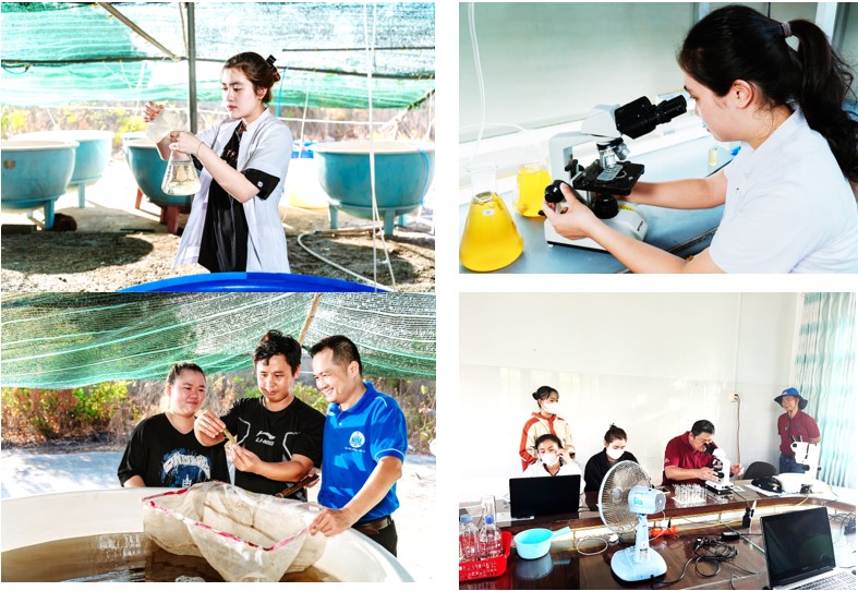 Sinh viên Ngành Nuôi trồng Thuỷ sản tham gia nghiên cứu thức ăn tự nhiên cho tôm, cá