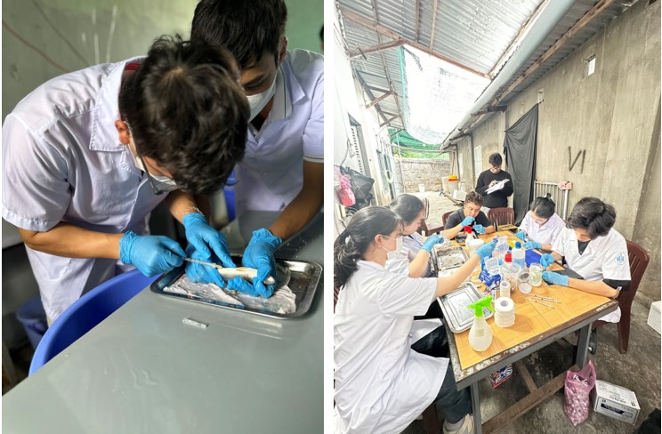 Sinh viên Ngành Nuôi thuỷ sản tham gia nghiên cứu vaccin cho cá và kiểm tra sức khoẻ cá