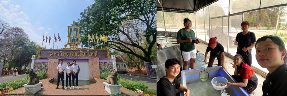 Sinh vi&ecirc;n kh&oacute;a 63 ng&agrave;nh NTTS đến trường Đại học Chiang Mai &ndash; Th&aacute;i lan thực hiện chương tr&igrave;nh trao đổi ngắn hạn (thực tập) (từ 4/3/2024 &ndash; 5/5/2024)