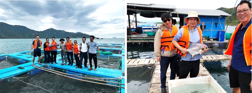 Tham quan lồng b&egrave; lưu giữ v&agrave; quản l&yacute; đ&agrave;n c&aacute; bố mẹ: c&aacute; sủ, c&aacute; tai bồ, c&aacute; chim, c&aacute; b&egrave; vẫu, c&aacute; m&uacute;,....