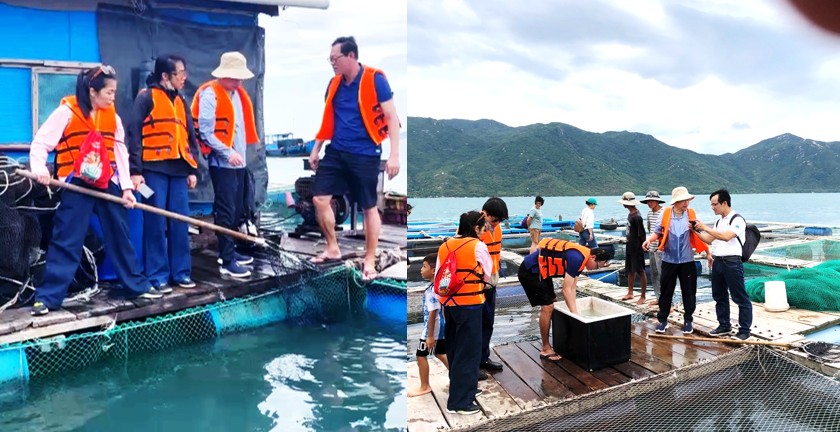 Tham quan lồng b&egrave; lưu giữ v&agrave; quản l&yacute; đ&agrave;n c&aacute; bố mẹ: c&aacute; sủ, c&aacute; tai bồ, c&aacute; chim, c&aacute; b&egrave; vẫu, c&aacute; m&uacute;,....