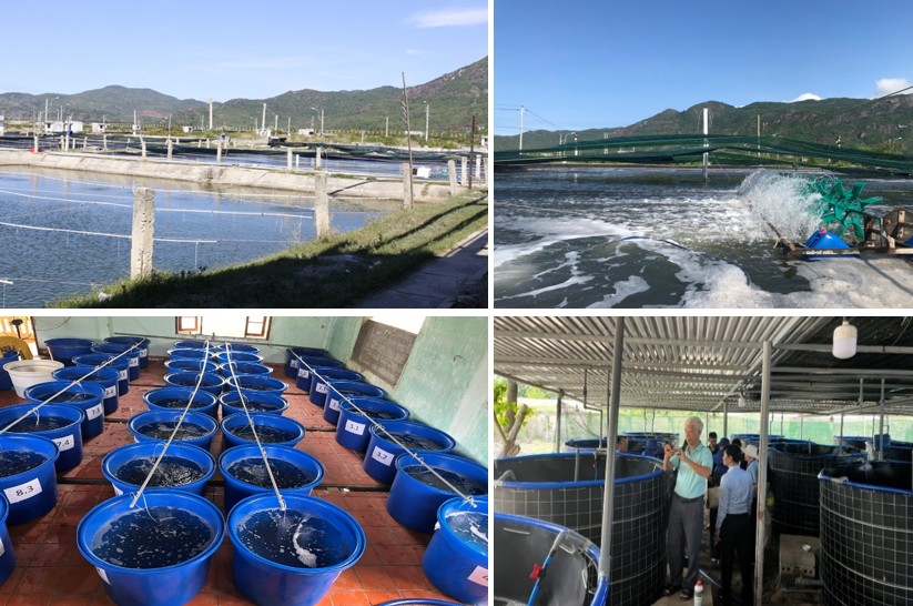 Trại thực nghiệm Cam Ranh